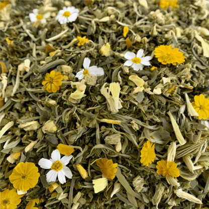 Infusion Bio Bouquet Digestif : mélisse, camomille, fenouil, houblon – Image 3