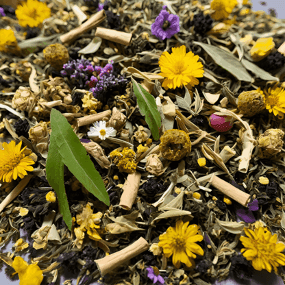 Infusion Bio Concentration et Méditation  : Tulsi, Lavande & 13 Plantes pour une Sérénité Profonde – Image 2