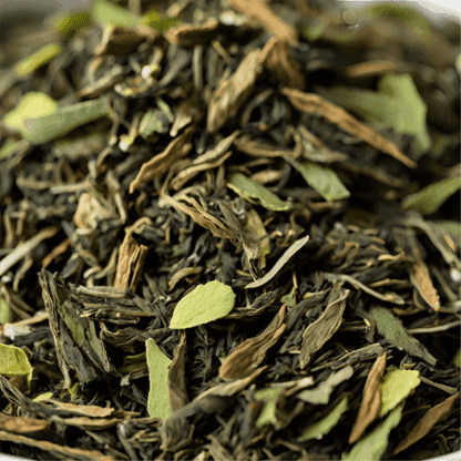 Thé Vert Sencha Menthe, Antioxydant & Rafraîchissant – Image 3