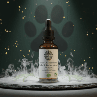 Huile CBD Vitalité & Soutien Intensif 200mg (2%) base Saumon. Formule haute concentration pour grands chiens et besoins accrus (mobilité).