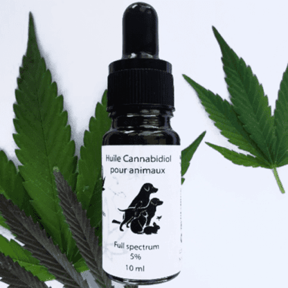 Huile saumon et CBD 5% full spectrum pour animaux