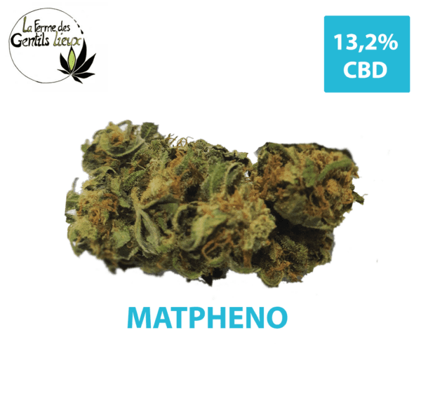 Matphéno CBD Bio