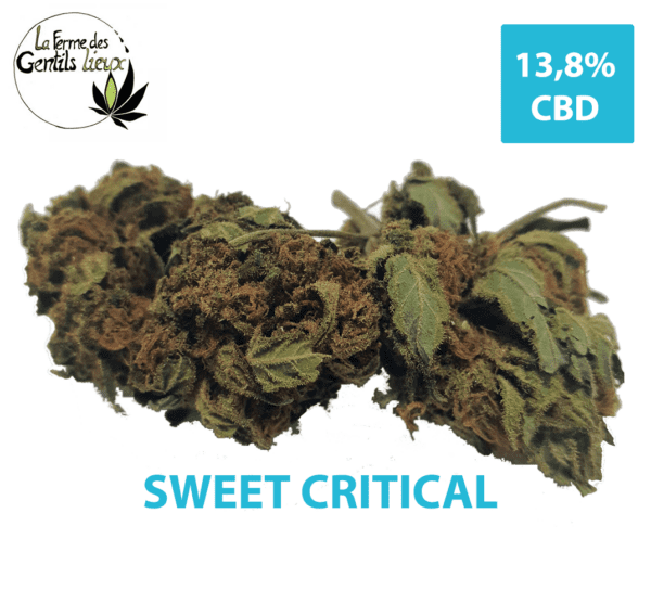 Sweet Critical CBD Bio